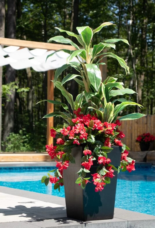 Red Bougainvillea and Cordyline Planter Product Image